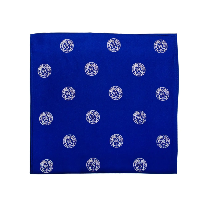 ACC silk scarf