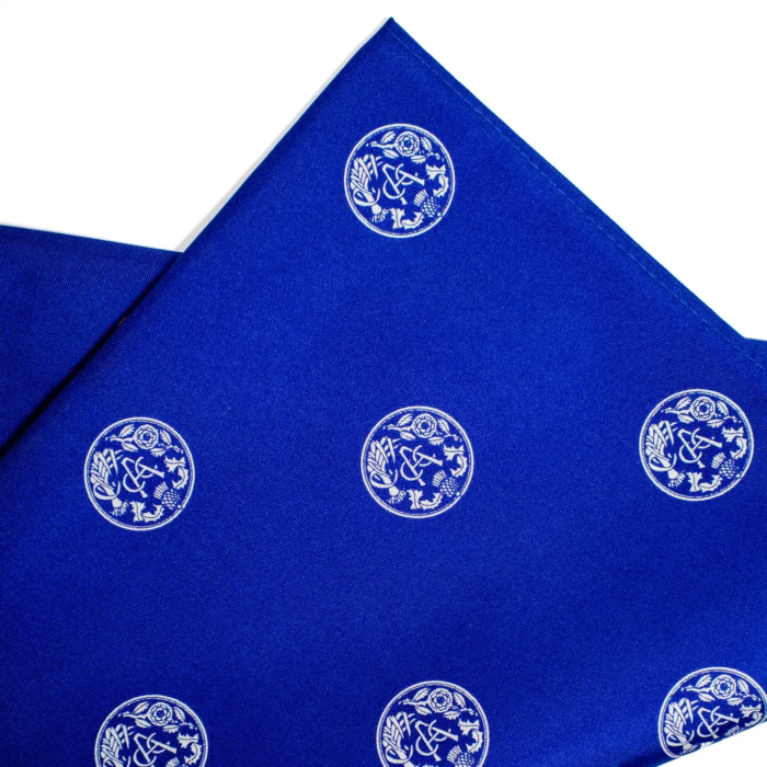 ACC silk scarf close up